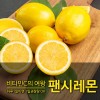 [수입과일] 눈살이 찌푸러지게 시큼한 레몬 5kg