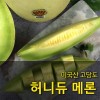 [수입과일] 미국산 고당도 허니듀 메론 11kg 5-6수