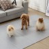 휴팡 PVC 단면 4T 폴딩형 강아지매트 미끄럼방지 슬개골보호 애견매트 소형(4단 접이식) 70 x 180cm