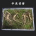 [수로산삼] 산양산삼 9~10년근 정삼 선물세트