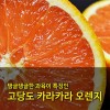 [수입과일] 호주산 고당도 카라카라오렌지 88과 17kg