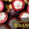 [수입과일] 현지맛 그대로 태국산 망고스틴 5kg 10망