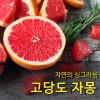 [수입과일] 자연의 싱그러움 고당도 자몽 21-22과 8kg