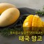 [수입과일] 부드럽고 달콤한 맛이 최고인 태국 골드 망고 2kg 4-7과