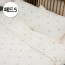 루즈벨트 테디베어 아이레이 패드 단품 S (선물용 가방 포함) TDBR-CL-2