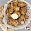 생 돼지감자 4kg (특품)