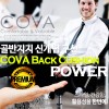 골반지지 쿠션 COVA 등큐션