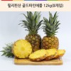 필리핀산 골드파인애플 12kg(8개입)