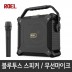 로엘 버스킹DJ 블루투스스피커 300W/무선마이크
