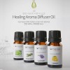 포고니아 힐링 아로마 디퓨저 오일 10ml
