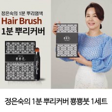 정은숙의 1분 뿌리커버 뿅뿅붓 1세트