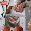 아내의 사과즙 (100ml*30포)