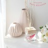 (롯데백화점 판매) [다비디퓨저] 프리미엄 우드 실내용 방향제 100ml 1+1세트