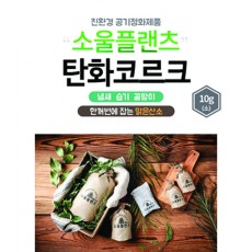 소울플랜츠 친환경공기정화주머니 10g(소)*5ea