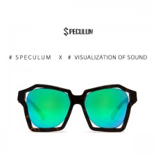 스페쿨룸 선글라스 VISUALIZATION OF SOUND BRO/GR/GR