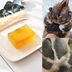 수솝 카렌듈라 강아지발비누 샴푸