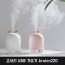 고사리 USB 가습기 Arokin220