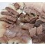 고래고기 300g