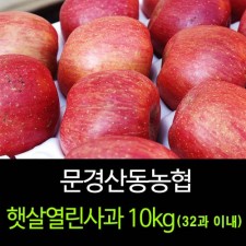 [문경명품사과]햇살열린사과 10kg(32과 이내)