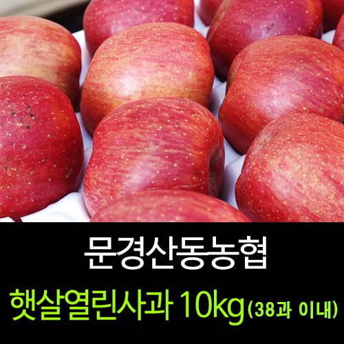 [문경명품사과]햇살열린사과 10kg(38과 이내)
