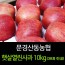 [문경명품사과]햇살열린사과 10kg(38과 이내)