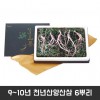 9~10년 천년산양산삼 6뿌리