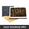10년근 천년산양산삼 5뿌리