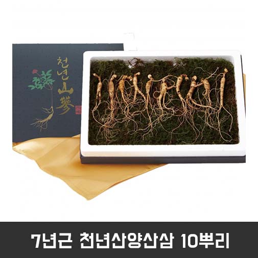 7년근 천년산양산삼 10뿌리