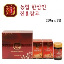 [한삼인]진홍삼고 250g X 2병