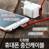 C타입 충전케이블 (1+1)
