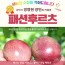 평택 정영현 장인의 백향과(패션후르츠) 1kg 15과내외