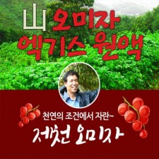 월악산 오미자 원액 1BOX_1.5L*1병