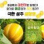 성주 참외 로얄참외 4.7k (9~12과)