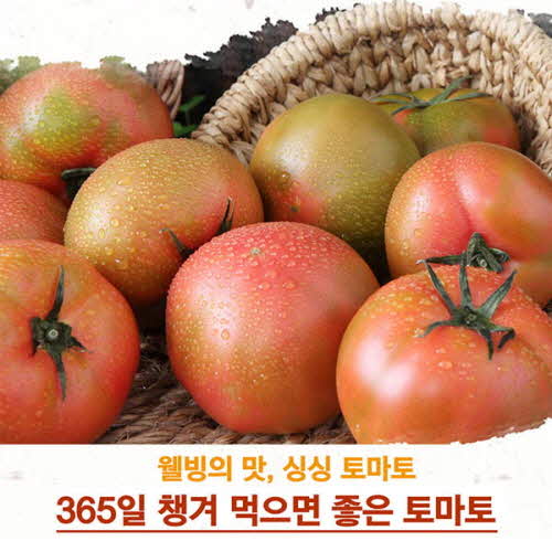 완숙토마토 1BOX_4.5K(원물4K)