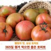 완숙토마토 1BOX_4.5K(원물4K)