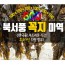북서풍 꼭지미역 1BOX_600G