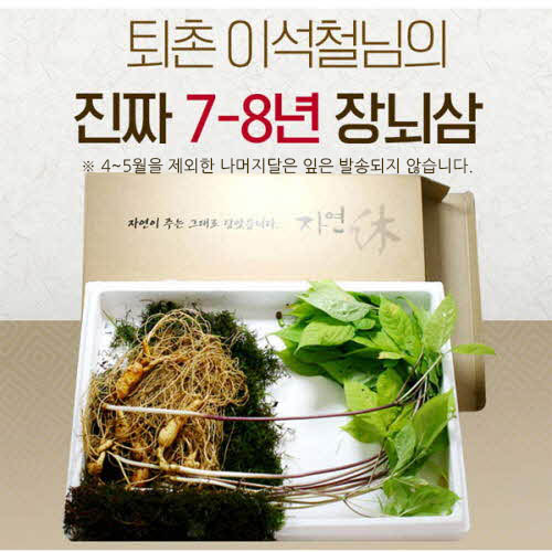 퇴촌 이석철님의 장뇌삼 5뿌리