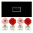 포시즌 사계절 선물세트 디퓨저 50ml X4 카네이션_믹스