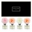 포시즌 사계절 선물세트 디퓨저 50ml X4 지니아_믹스
