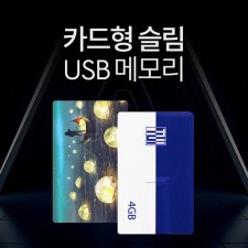 투이 카드형 USB 메모리 4G