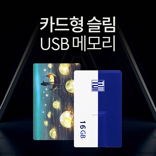 투이 카드형 USB 메모리 16G