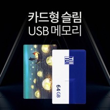 투이 카드형 USB 메모리 64G