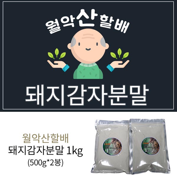 월악산 할배의 돼지감자 분말 2봉 (500g*2)