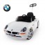BMW Z8 푸쉬카