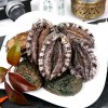 [산지직송]완도산 참전복(보자기선물포장) 1kg(15-16미)