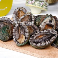 [산지직송]완도산 참전복 1kg(8-9미)