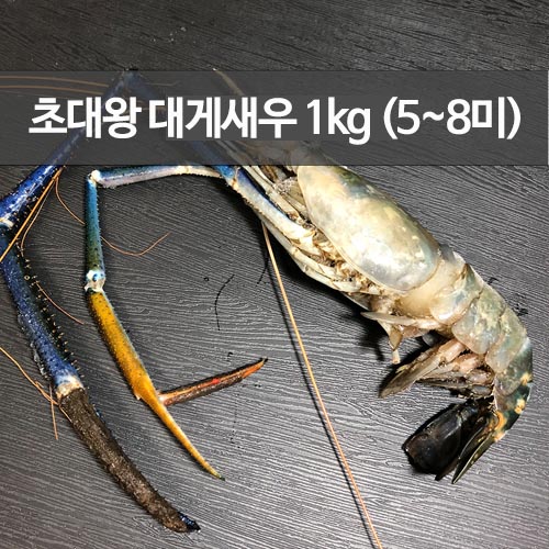 초대왕 대게새우 1kg (5~8미)