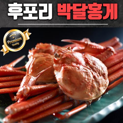후포리 정품 박달 홍게 한박스 5미 (2k 이상)