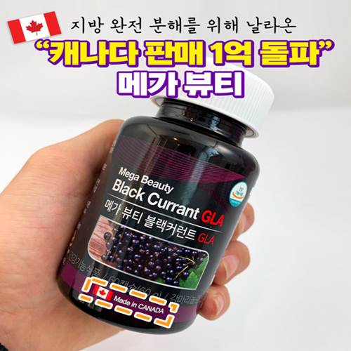 메가뷰티블랙커런트 4중 복합기능성 감마리놀렌산 GLA