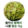 월악산 할배의 나물 옻순 1kg